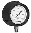 Reotemp Series "PT" Gauge